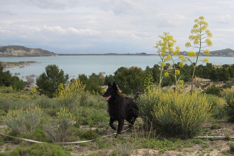 Luena 1 1/2 Jahre alt