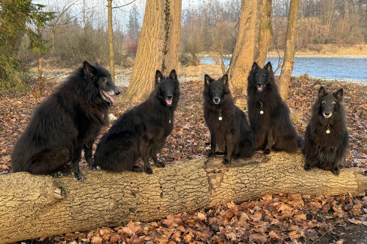 Woche 6